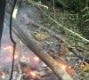 TRAGEDIJA U MALEZIJI  Objavljena snimka strašne nesreće: Dva vojna helikoptera sudarila se tijekom vježbe, poginulo 10 ljudi