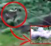 Pogledajte kako ruski vojnik ruksakom obara dron: Ovo još nije viđeno, nevjerojatna snimka