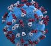 Objavljeni podaci o broju zaraženih koronavirusom, neke županije bez novooboljelih