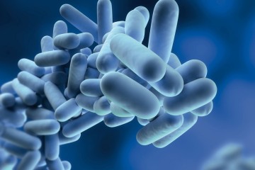 Legionela u vrtiću Bajka u Selskoj: Objekt privremeno zatvoren, djece i zaposlenici bez simptoma