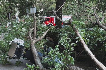 Kaos na obali: Jaka bura ruši stabla i oštećuje vozila, jedna osoba ozlijeđena