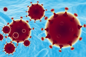 U posljednja 24 sata zabilježeno je 145 novih slučajeva zaraze virusom SARS-CoV-2