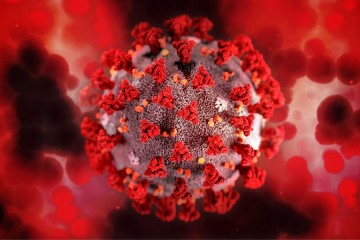 Otkriven posve novi soj koronavirusa, jednako podložan mutacijama