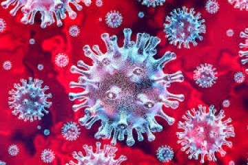 Stožer: U Hrvatskoj 349 novih slučajeva zaraze koronavirusom, 36 osoba umrlo