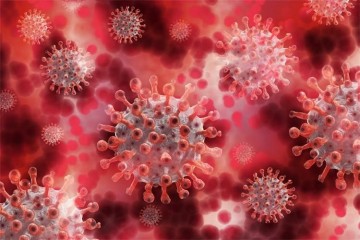U Hrvatskoj zabilježeno 587 novih slučajeva koronavirusa