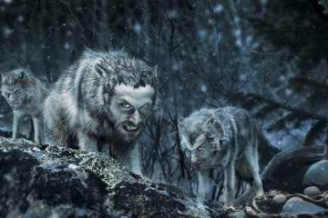 Vladimir Trkmić: Čovjek je čovjeku vuk