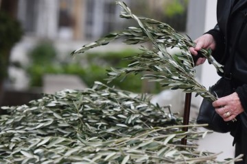 Danas je Cvjetnica, nedjelja Muke Gospodnje. Znate li što vjernici obilježavaju?