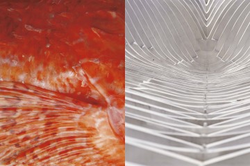 Poziv na otvorenje izložbe: Deliciously Croatia, Damir Fabijanić