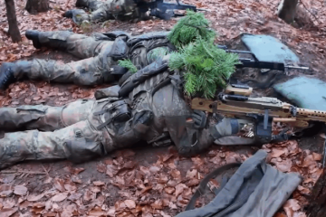 Nešto se čudno događa na Grenlandu: Njemački specijalci pod okriljem noći povukli šokantan potez