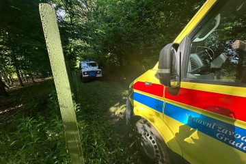 STRAŠNA NESREĆA  Preminuo vozač hitne pomoći u padu aviona, četiri osobe ozlijeđene: Državna prvakinja u bolnici