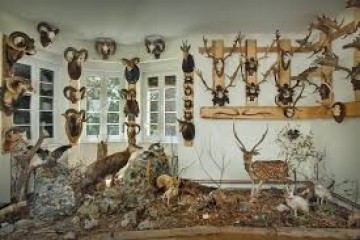 Lovačke muljaže i makinacije oko dva hotela: Sprema se možda i najveći skandal u 60 godina