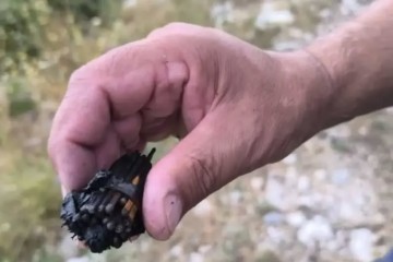 HOROR KOD OMIŠA: Djeca bježala u more pred vatrom – požari su podmetnuti!