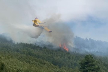 Požari u 2020: 16 posto manji broj, za petinu veća površina