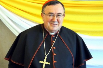 Pohod kardinala Vinka Puljića Slavoniji