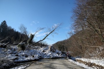 Aktiviralo se klizište u Zagorju: Zemljana lavina čupala drveće i u potpunosti blokirala državnu cestu