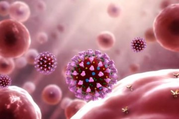 STOŽER IZBACIO NOVE BROJKE I PODATKE: Preminulo je 15 osoba, a evo koliko je novozaraženih koronavirusom