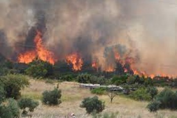POŽAR POD NADZOROM    Epilog vatrene stihije: Izgorjelo oko 600 hektara, zahvaćene i kuće u Grebaštici, uništeno nekoliko automobila