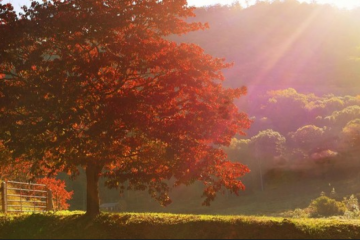 Nedjelja sunčana i topla, ali pred nama promjenjiv i svjež početak tjedna