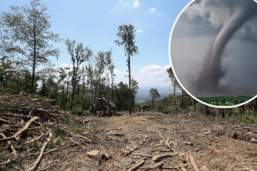 U srpnju 1973. zabilježen je tornado koji je doslovce pomeo jedan dio Medvednice