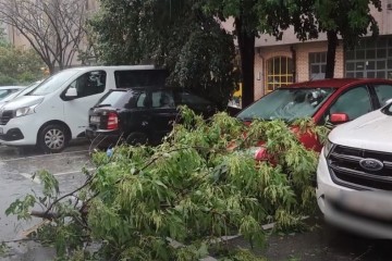 U nevremenu u Zagrebu poginula dva muškarca, na njih su pala stabla: "Imali su višestruke ozljede glave"