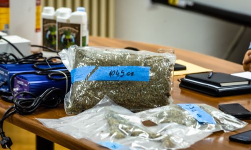 Kod Vodica otkriven laboratorij, pola tone stabljika i 16 kilograma marihuane